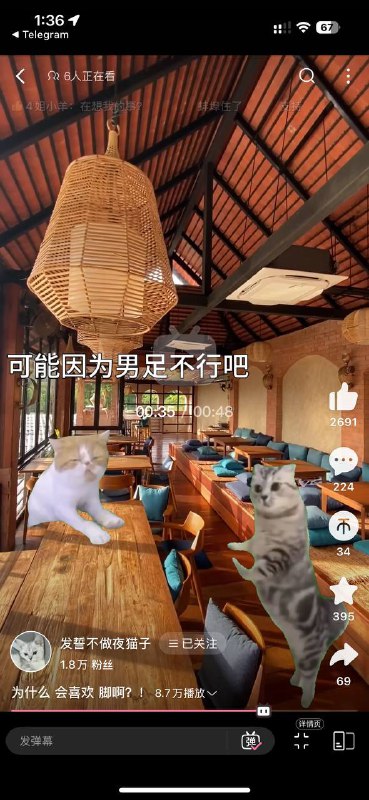 笑不活了啊哈哈哈哈笑不活了啊哈哈哈哈