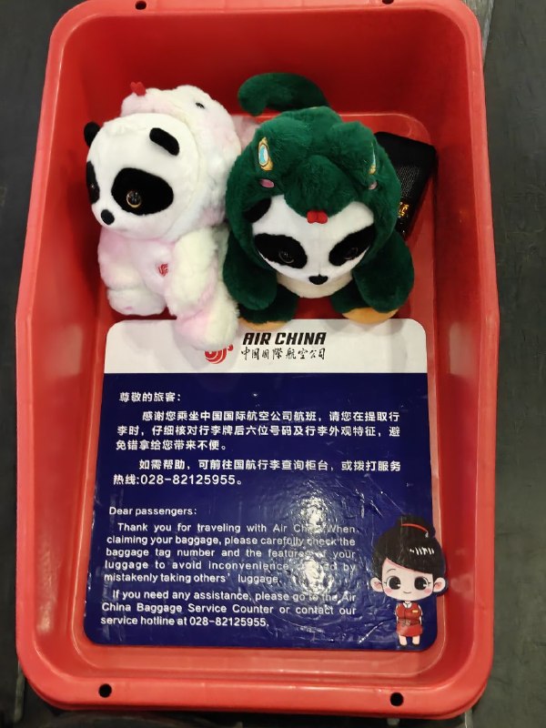 お荷物を見守ってくれるパンダたち🥰