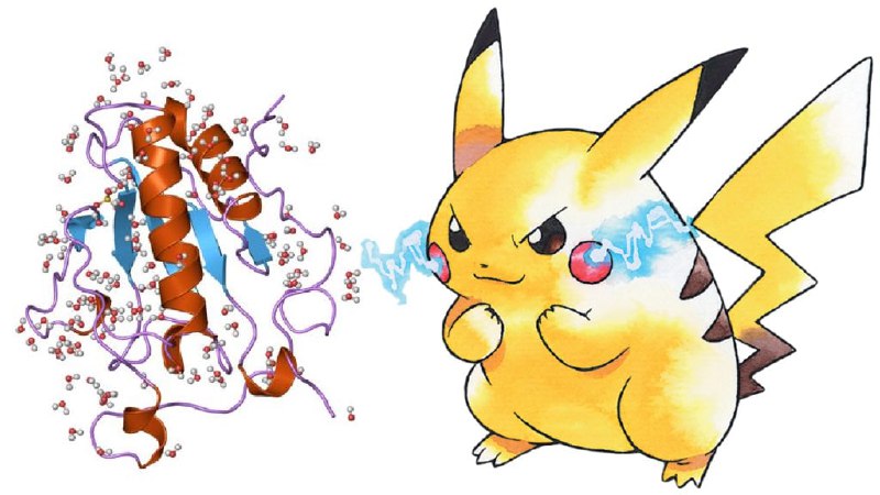 Pikachurin （这是真实存在的 protein）