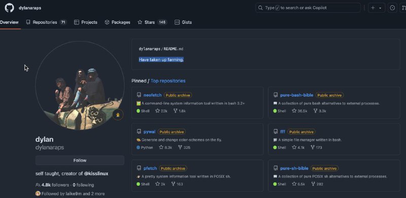 草台班子接触太多以后就会开始理解 dylan，成为 dylan