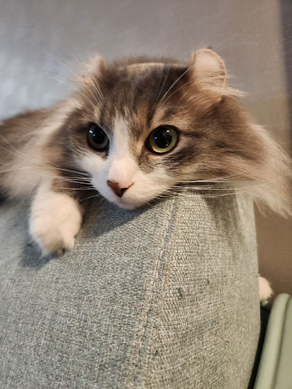 小宝真的太可爱了呜呜呜呜呜