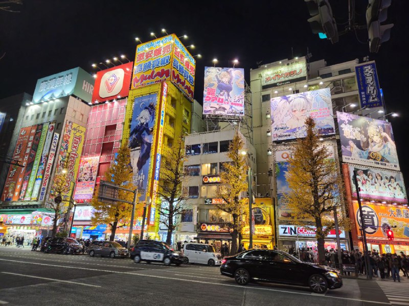 秋葉原で何時間も散策してたが何も買えねーmy inner otaku has just been found dead.秋葉原で何時間も散策してたが何も買えねーmy inner otaku has just been found dead.