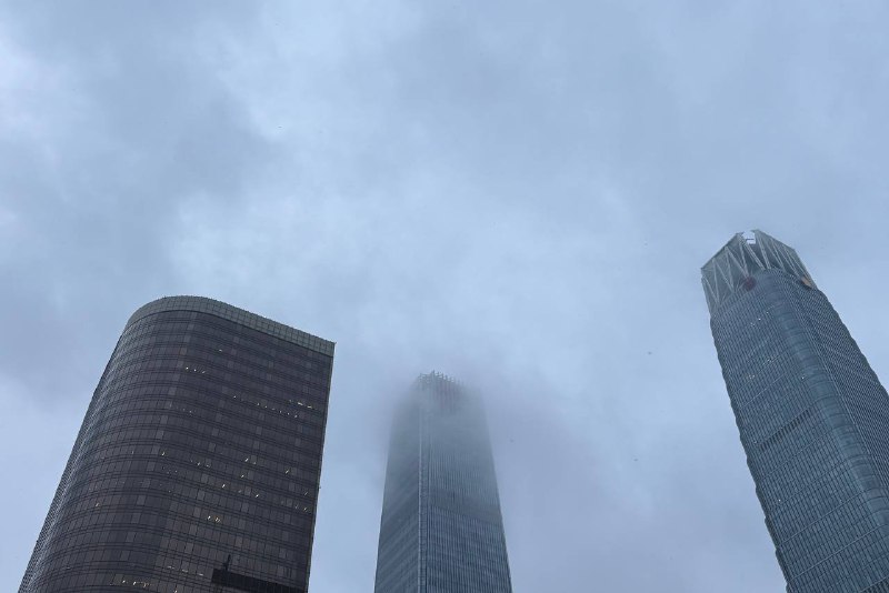 迟到了一个冬天的雪，在所有人都以为它不会来了的时候，居然硬是给了大家一场小小的惊喜迟到了一个冬天的雪，在所有人都以为它不会来了的时候，居然硬是给了大家一场小小的惊喜