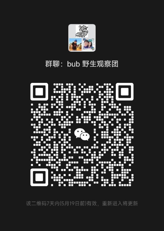 如果你正在使用 bub 或者对 bub 背后的一些设计想法感兴趣，这里有一个微信群可以讨论不过这个群不是工单群和 7*24h 响应，issue 需要转 github （逃